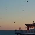 Brighton Beach - emotionsLess image