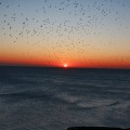 Brighton - emotionsLess image