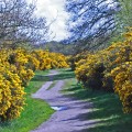 Pathways - emotionsLess image Pathways - emotionsLess image