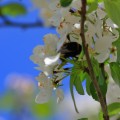 Spring is here - emotionsLess image Spring is here - emotionsLess image
