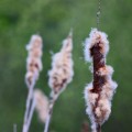 Unfolding - emotionsLess image Unfolding - emotionsLess image