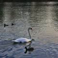On the lake - emotionsLess image