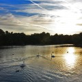On the lake - emotionsLess image
